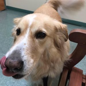 Meet your Posher, Pamela